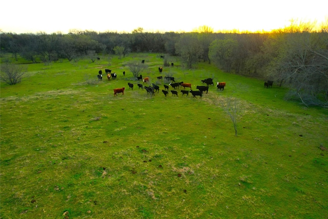 TBD Hoben Rd, Nocona, TX 76255