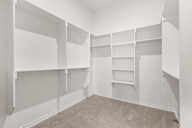 walk in closet with carpet flooring
