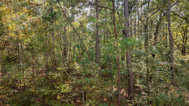 TBD County Road 4558, Winnsboro, TX 75494