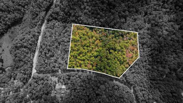 TBD County Road 4558, Winnsboro, TX 75494