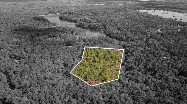 TBD County Road 4558, Winnsboro, TX 75494