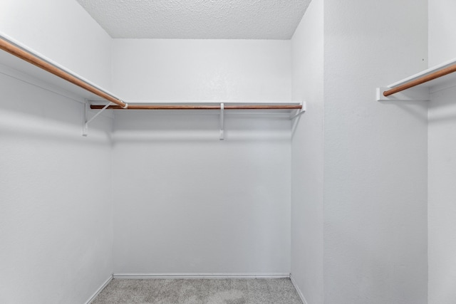spacious closet with carpet