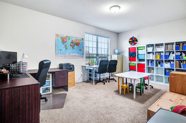 office area featuring carpet flooring