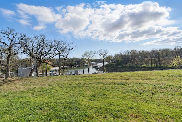 view of yard with fence and a boat dock