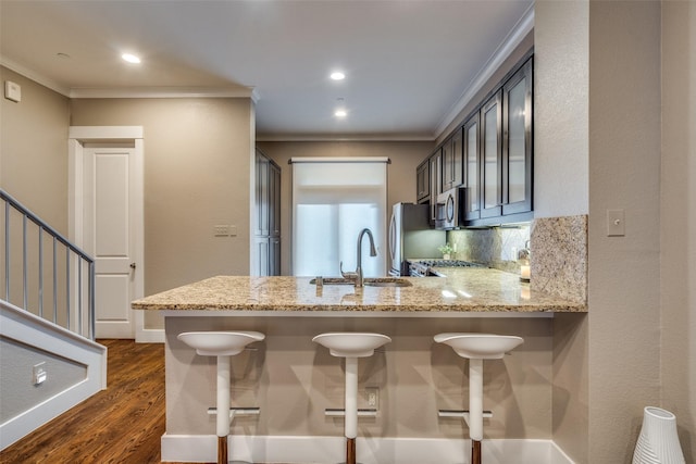 kitchen featuring a sink, ornamental molding, appliances with stainless steel finishes, dark wood-style floors, and light stone counters