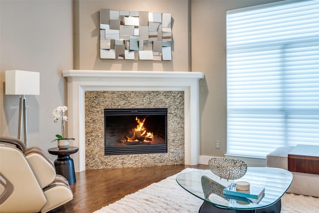 interior space featuring a high end fireplace and wood finished floors