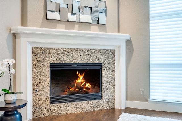 interior details featuring a fireplace and wood finished floors