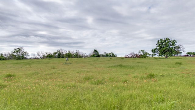 9841 Terry Meadows Ln, Grandview, TX 76050