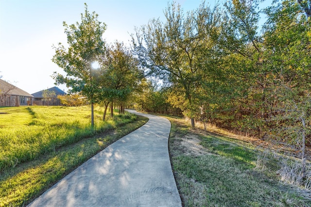1916 Pelham Dr, Aubrey, TX 76227 - surrounding community featuring a yard