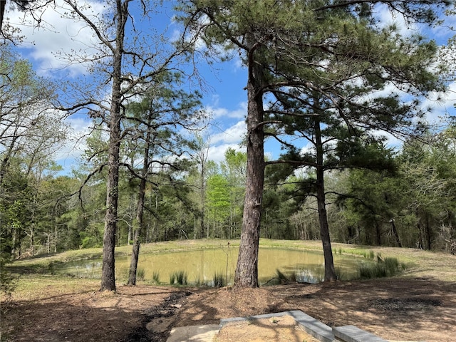 view of landscape with a forest view
