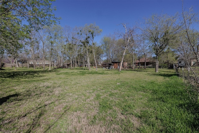 1009 Division St, Greenville, TX 75401 - view of grassy yard