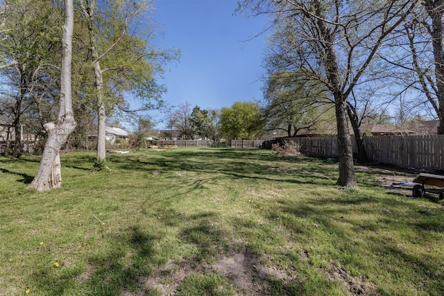 1009 Division St, Greenville, TX 75401 - view of yard