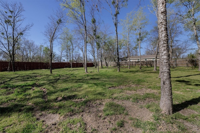 1009 Division St, Greenville, TX 75401 - view of yard