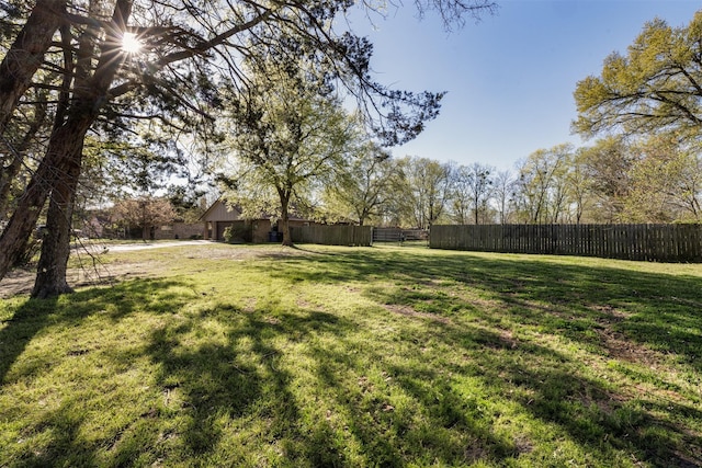 1009 Division St, Greenville, TX 75401 - view of yard