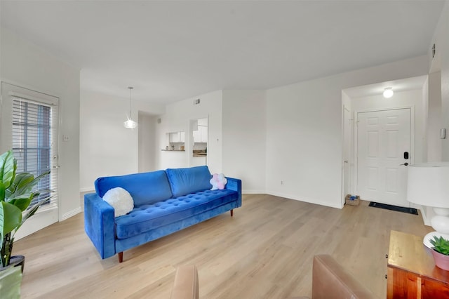 1700 Amelia Ct Unit 312, Plano, TX 75075 - living room featuring light wood-type flooring and baseboards