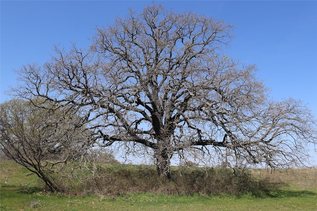293ACRES Deer Creek Rd, Henrietta, TX 76365