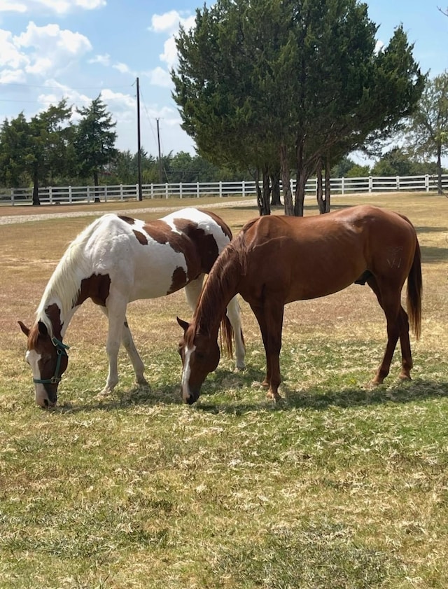 1752 County Road 1450, Bonham, TX 75418 - view of horse barn