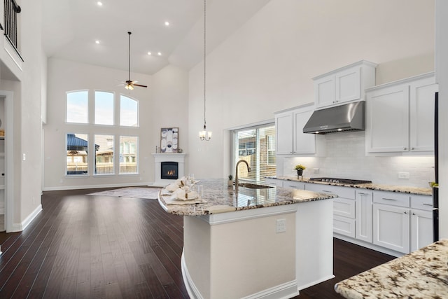 15664 Wild Cherry Ln, Fort Worth, TX 76262 - kitchen featuring under cabinet range hood, a sink, high vaulted ceiling, a lit fireplace, and a ceiling fan
