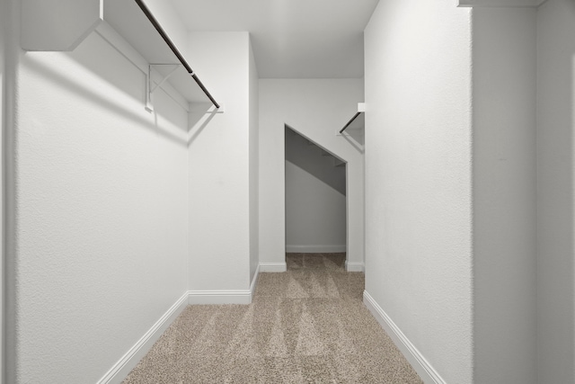 15664 Wild Cherry Ln, Fort Worth, TX 76262 - walk in closet with carpet floors