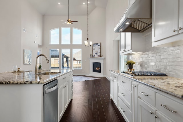 15664 Wild Cherry Ln, Fort Worth, TX 76262 - kitchen featuring under cabinet range hood, appliances with stainless steel finishes, high vaulted ceiling, a sink, and a ceiling fan
