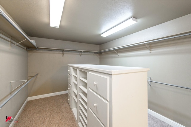 339 Hunters Holw, Bossier City, LA 71111 - walk in closet featuring carpet floors