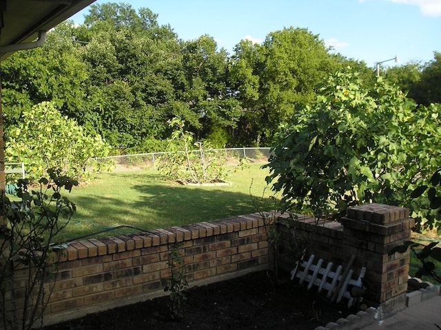 901 Freestone Ct, Arlington, TX 76017 - view of yard with a fenced backyard
