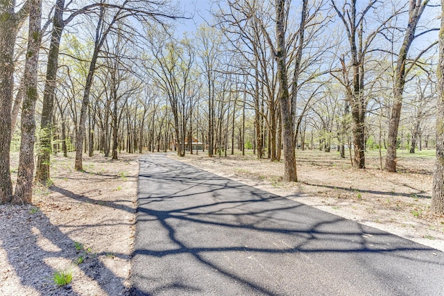 view of street with a forest view