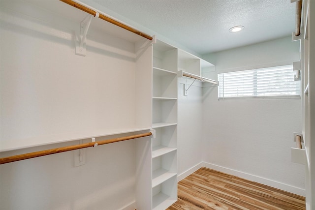 walk in closet with light wood-type flooring