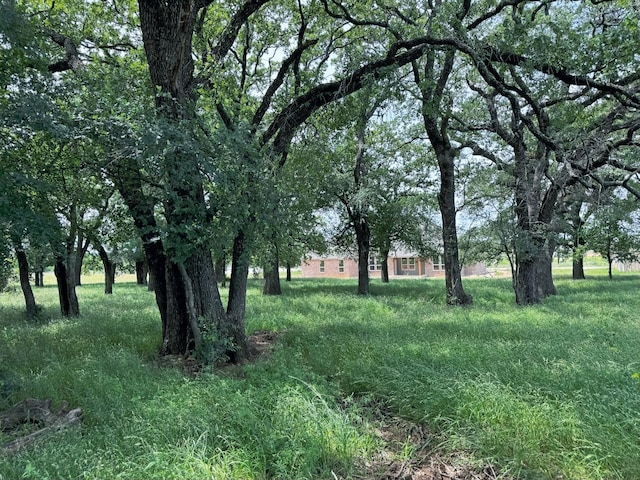 1005 Ronnie Ct, Springtown, TX 76082 - view of yard