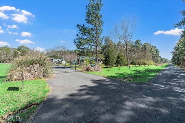 view of road with a gated entry and a gate