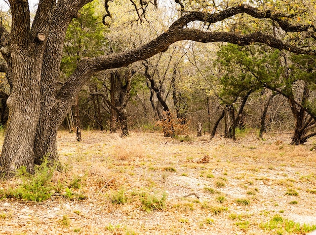 41459 Fm-914, Dublin, TX 76446