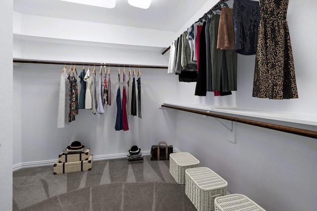 4929 Alcott St, Dallas, TX 75206 - spacious closet with carpet