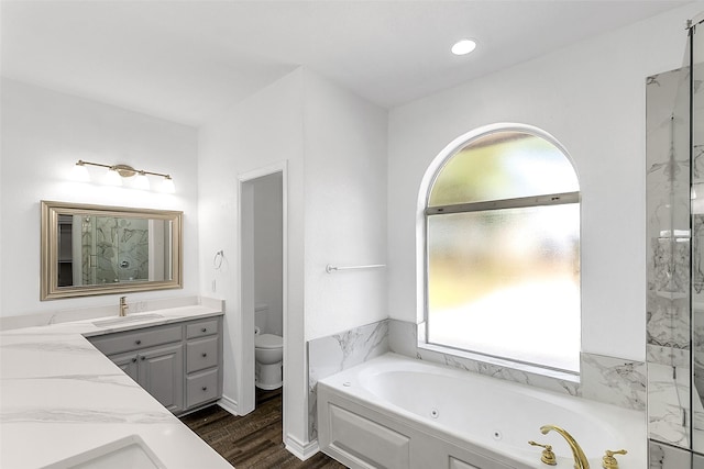 2858 Waters Edge, Quinlan, TX 75474 - bathroom with wood finished floors, toilet, vanity, and a whirlpool tub