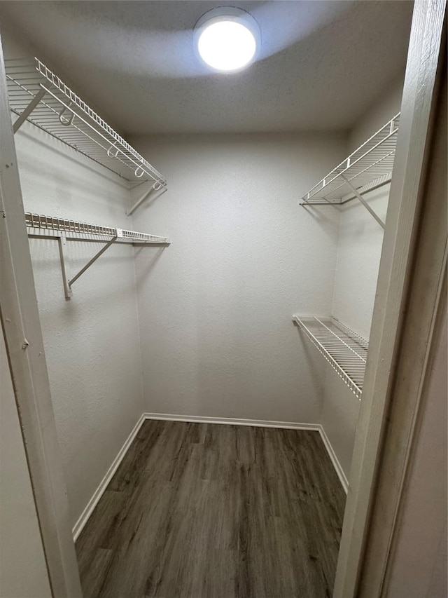 spacious closet featuring wood finished floors