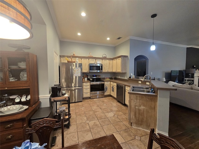 714 Green Acres Ln, Midlothian, TX 76065 - kitchen with appliances with stainless steel finishes, a sink, a peninsula, open floor plan, and ornamental molding