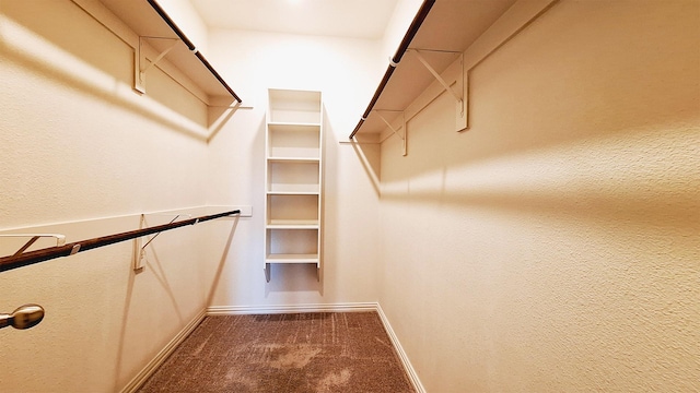 walk in closet with carpet flooring