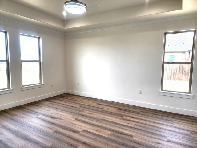 144 Shawnee Trl, Pottsboro, TX 75076 - spare room with baseboards, wood finished floors, and a tray ceiling