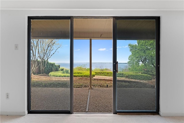 3709 Windmill Hill St, Waco, TX 76710 - entryway with baseboards and a water view
