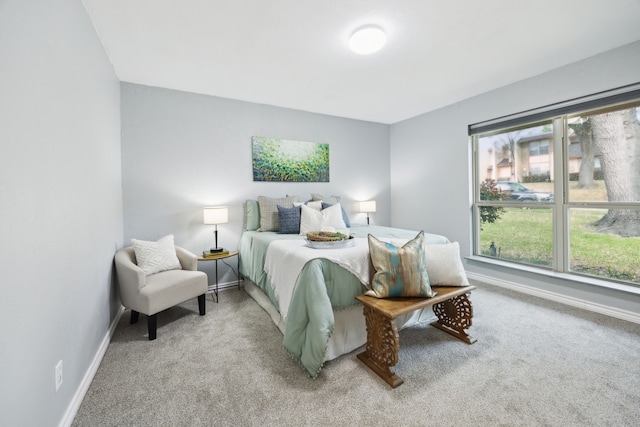 bedroom with baseboards and carpet floors