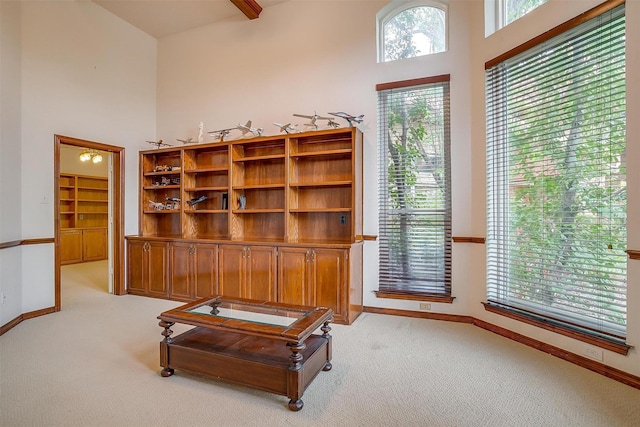1002 Loch Lomond Dr, Arlington, TX 76012 - interior space with a towering ceiling, baseboards, and light colored carpet