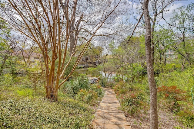 1002 Loch Lomond Dr, Arlington, TX 76012 - view of home's community with a water view