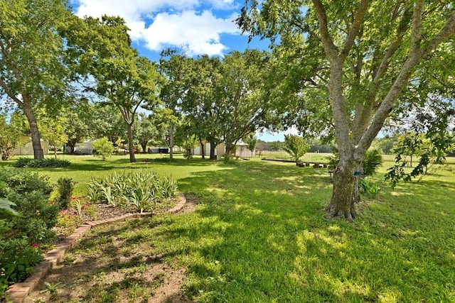 821 Seeton Rd, Mansfield, TX 76063 - view of green lawn