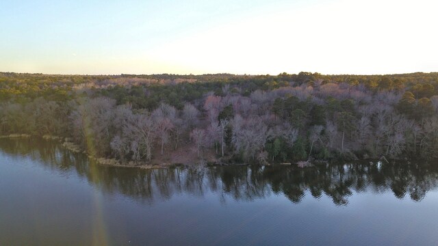 3266 Shadow Pine Dr, Larue, TX 75770