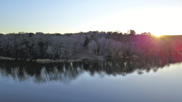 3266 Shadow Pine Dr, Larue, TX 75770