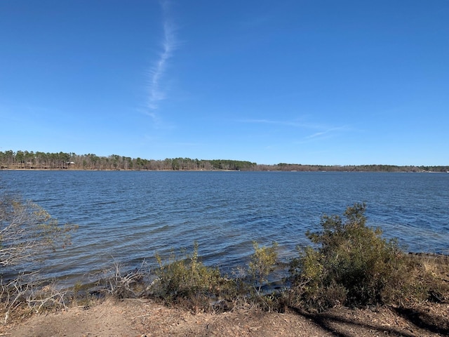 3266 Shadow Pine Dr, Larue, TX 75770