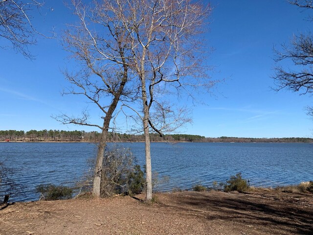 3266 Shadow Pine Dr, Larue, TX 75770