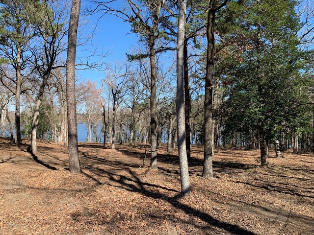3266 Shadow Pine Dr, Larue, TX 75770