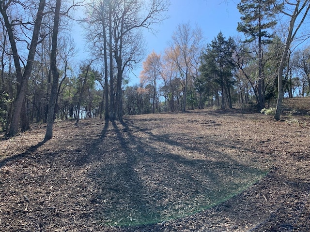 3266 Shadow Pine Dr, Larue, TX 75770