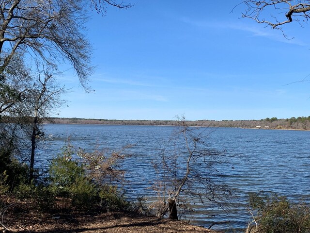 3266 Shadow Pine Dr, Larue, TX 75770