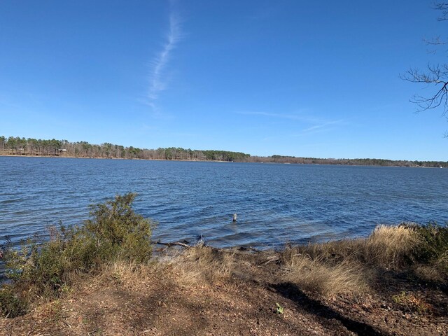 3266 Shadow Pine Dr, Larue, TX 75770